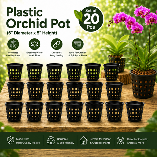 Premium Plastic Orchid Pot (6" Diameter x 5" Height)