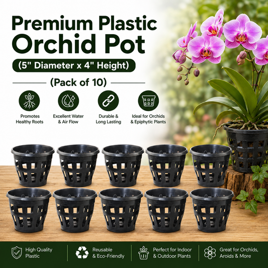Premium Plastic Orchid Pot, (5" Diameter x 4" Height)