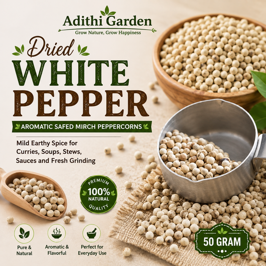 Whole White Pepper | Aromatic Safed Mirch Peppercorns