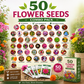 50 Flower Seeds Combo Pack – 50 Premium Flower Seed Varieties | High Germination | Easy to Grow | Home Garden, Balcony & Terrace Gardening
